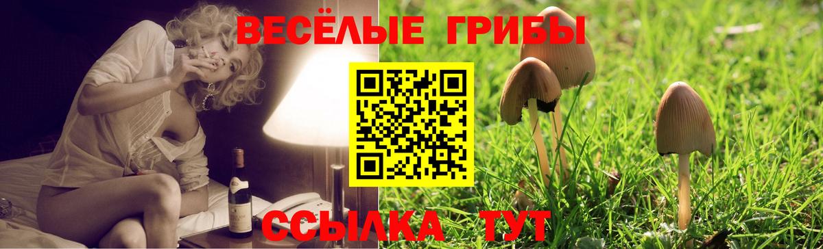 Псилоцибиновые грибы Psilocybine cubensis  Псилоцибиновые грибы прущие грибы  Вход с VPN  Иваново 