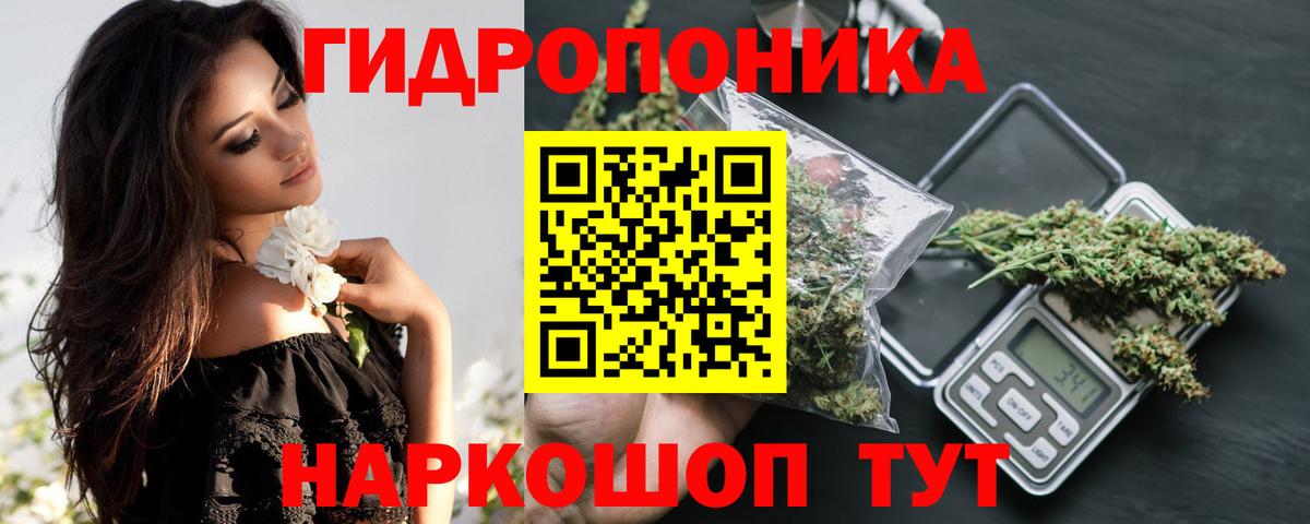 Конопля конопля Иваново